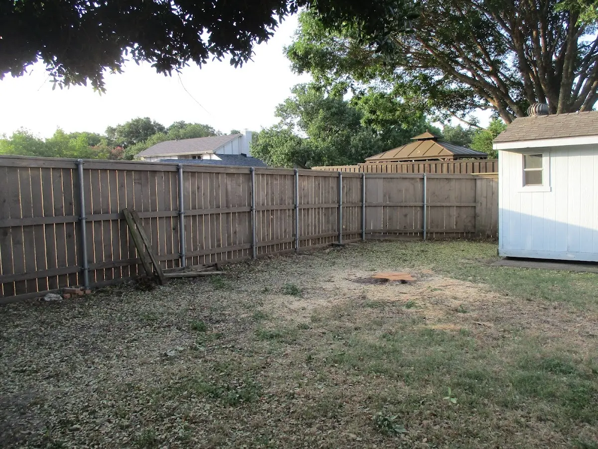 Cleared yard after professional tree removal in Cossayuna